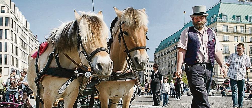 Sehen die glücklich aus? Eben!