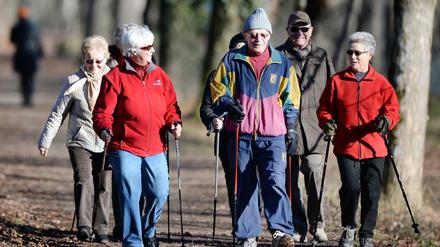 Aktiv im Alter: Die Nordic-Walking-Gruppe "Über 70 Jahre" aus Langenargen (Baden-Württemberg).