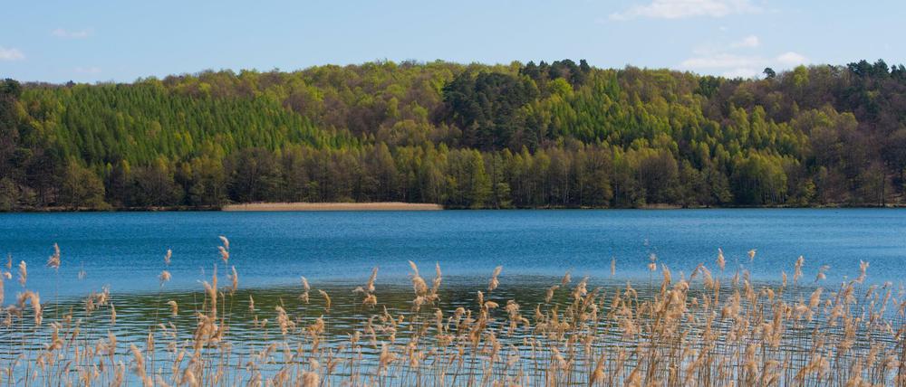 Eine Grundschülerin aus Berlin ist auf einer Klassenfahrt nach einem Badeunfall im Werbellinsee in Brandenburg gestorben.