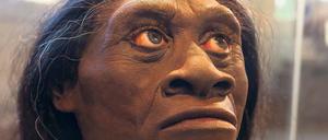 So könnte er ausgesehen haben. Diese Nachbildung eines Homo floresiensis ist im National History Museum in Washington zu sehen. Die Frühmenschen waren rund ein Meter klein, ihr Gehirn hatte die Größe einer Orange.
