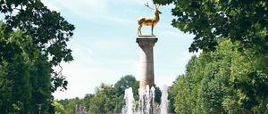 Echt tierisch. Kürzlich wurde beim Goldenen Hirschen eine Schlange auf dem Weg entdeckt.