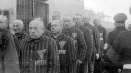 Prisoners in the concentration camp at Sachsenhausen, Germany, 19 Dec 1938 WHA PUB