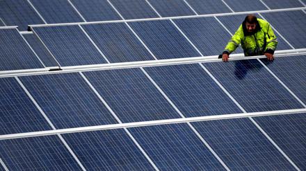 In Brandenburg werden fast jede Woche Solarpaneele geklaut.