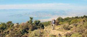 Mit Meerblick. Auf dem Weg von Portaria nach Hania haben Wanderer auch stets den würzigen Duft der Macchia in der Nase, Insektengebrumm gibt’s noch dazu. Bisweilen flattert ein Schmetterling vorüber. Sonst ist es still. Kaum ein Mensch ist hier unterwegs.