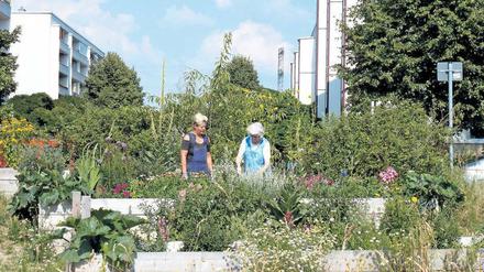 Naturnah ist die Helle Oase in Hellersdorf gestaltet. 