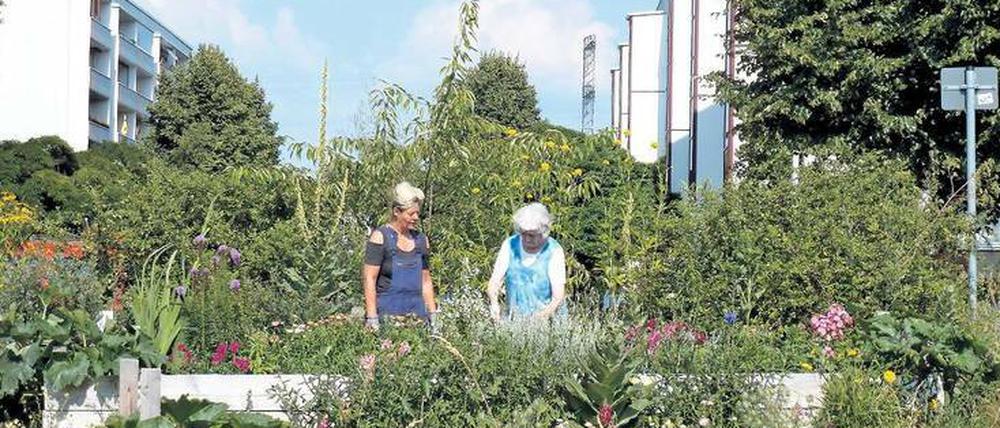 Naturnah ist die Helle Oase in Hellersdorf gestaltet.