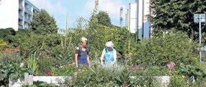 Naturnah ist die Helle Oase in Hellersdorf gestaltet. 