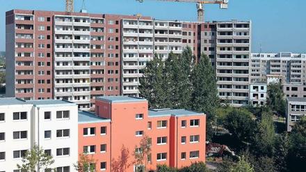 Ein zurückgebauter Wohnblock der „Ahrensfelder Terrassen“ in Marzahn. Im Bild aus dem Jahr 2004 sind hinten noch die ursprünglich elfgeschossigen Plattenbauten erkennbar. Von rund 1600 Wohnungen blieben nur 400 übrig – so wurde der Stadtteil aufgewertet.