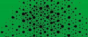 Fünfer. Die Abbildung zeigt die Fünfer-Symmetrie eines Quasikristalls aus dem Experiment. Für diese Analyse werden Röntgenstrahlen benutzt. 