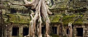 Der Tempel und Gebäudekomplex Ta Prohm bei Ankor Wat, Kambodscha.