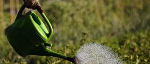 Kleingartenidylle. Manche sehen sie offenbar durch Ausländer gestört.