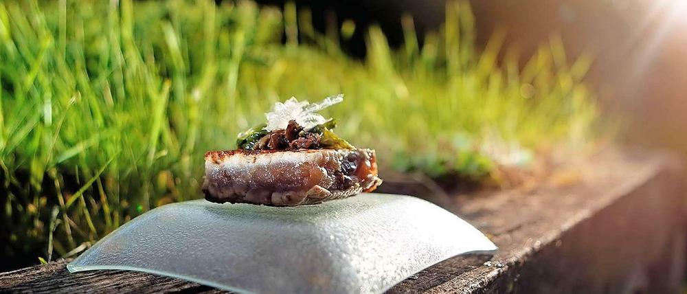 Neue galicische Küche und Teil eines Event-Menüs im Melia-Hotel: kurz angegrilltes Thunfisch-Tatar.