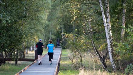Jogger im Natur-Park Schöneberger Südgelände. Von diesem südlichsten Teil aus soll der Grünzug in Zukunft noch weiter nach Lichterfelde geführt werden.