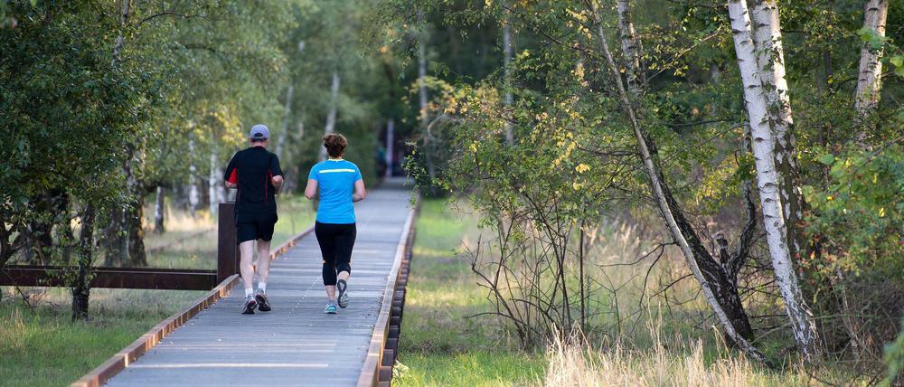 Jogger im Natur-Park Schöneberger Südgelände. Von diesem südlichsten Teil aus soll der Grünzug in Zukunft noch weiter nach Lichterfelde geführt werden.