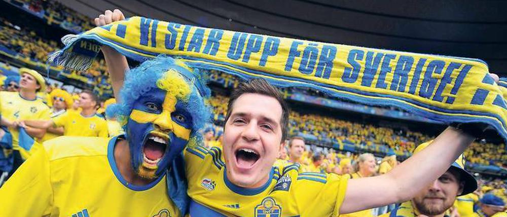  "Hey, ihr Zwerge!" - Die Schweden singen sich beim Spiel gegen Irland in EM-Stimmung.