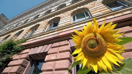 Sonnige Aussichten? Die TU Berlin diskutiert über die Viertelparität. Gelingt es, die Professorinnen und Professoren zu entmachten, könnte sie sich bald mit endlosen Debatten lähmen.
