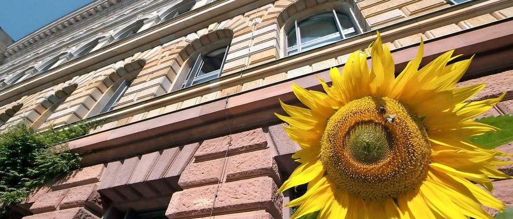 Sonnige Aussichten? Die TU Berlin diskutiert über die Viertelparität. Gelingt es, die Professorinnen und Professoren zu entmachten, könnte sie sich bald mit endlosen Debatten lähmen.