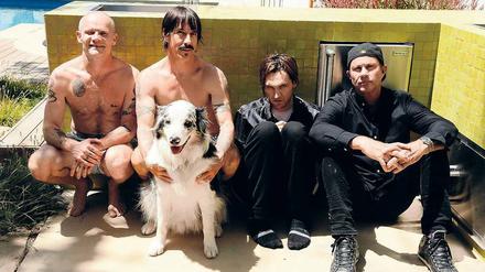 Die Red Hot Chili Peppers aus L.A. mit einem vierbeinigen Gastsänger.