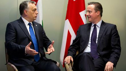 Gute Verbindung: Der ungarische und der britische Premierminister, Viktor Orban und David Cameron.