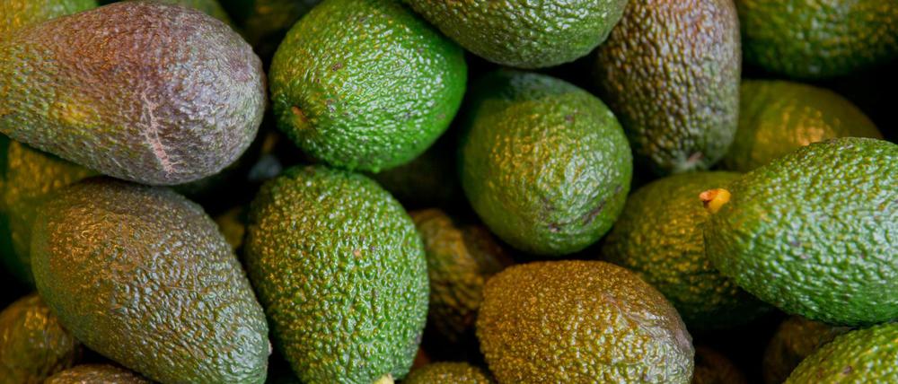 Mit Taschenlampen und Harken bewaffnete Räuber machen in Neuseeland Avocado-Plantagen unsicher.