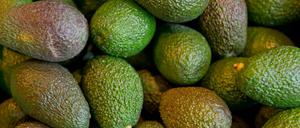 Mit Taschenlampen und Harken bewaffnete Räuber machen in Neuseeland Avocado-Plantagen unsicher.