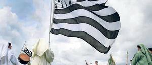 Belenus und bretonische Flagge.