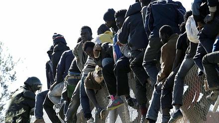 Afrikanische Flüchtlinge sitzen auf einem Zaun, der Marokko von der spanischen Enklave Melila trennt. 