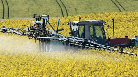 Das Unkrautvernichtungsmittel Glyphosat ist hoch umstritten.