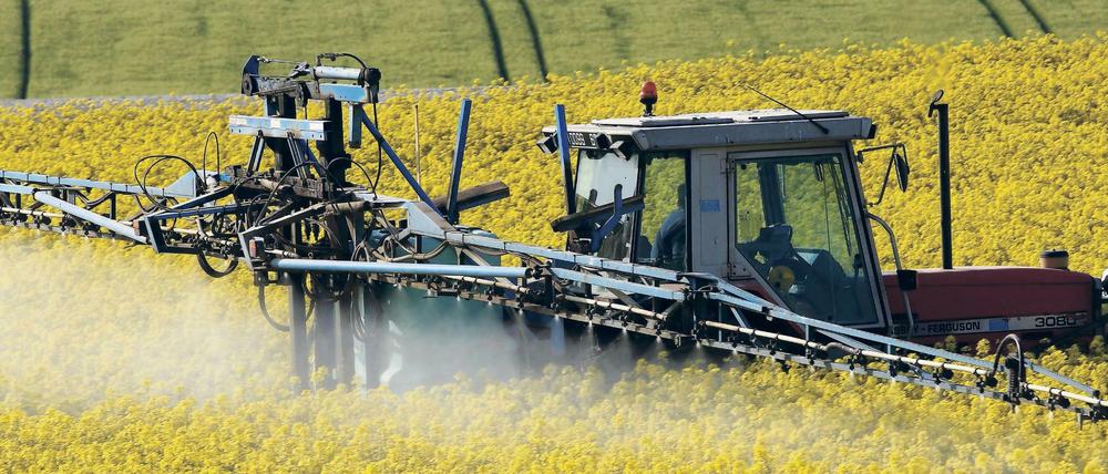 Das Unkrautvernichtungsmittel Glyphosat ist hoch umstritten.