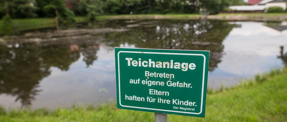 In diesem Löschteich ereignete sich das Unglück im nordhessischen Kurort Neukirchen.