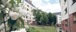 Natur in der Stadt. Wohnungen in der Gartenstadt sind begehrt.