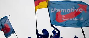 Die meisten Anhänger der Euro-skeptischen "Alternative für Deutschland" wären für einen Austritt Deutschlands aus der EU.