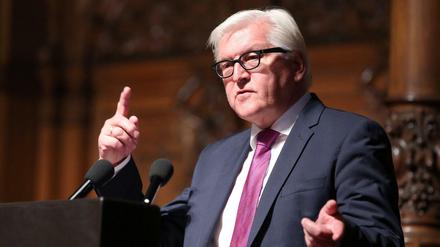 Engagiert: Außenminister Frank-Walter Steinmeier (SPD).