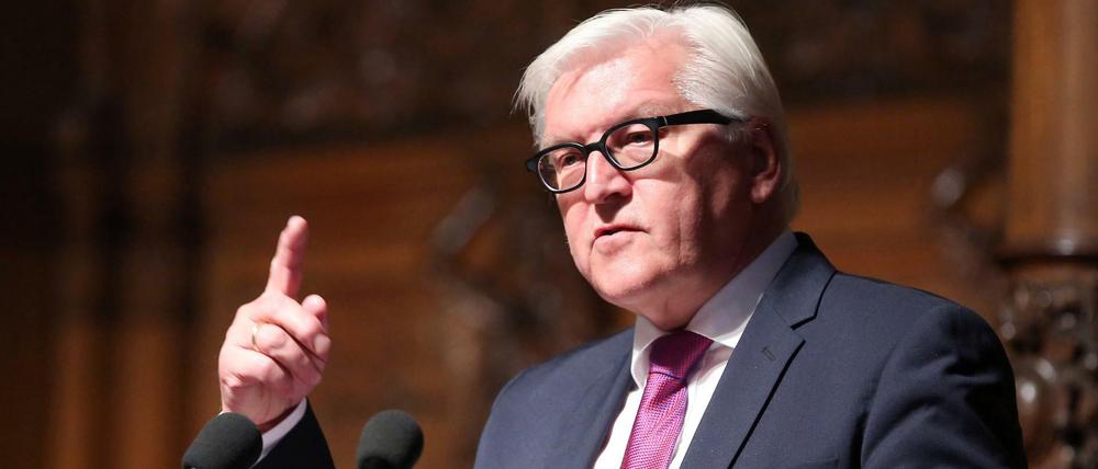 Engagiert: Außenminister Frank-Walter Steinmeier (SPD).