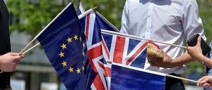 Britische Studenten vor dem EU-Parlament.