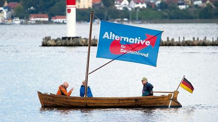 AfD-Anhänger im Hafen von Stralsund: Die Partei könnte in Mecklenburg-Vorpommern stärkste Partei werden.