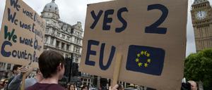 Die 48 Prozent, die gegen Brexit gestimmt haben, wehren sich gegen das Votum.