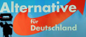 Multikulti im Forst: Daniel Birkefeld geht um die Zukunft des deutschen Waldes.