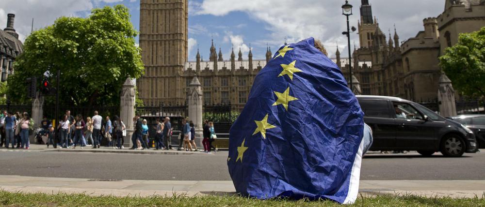 Demonstrant, der am Samstag für den Exit vom Brexit in London demonstrierte.