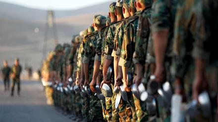 Soldaten der Neuen Syrischen Armee, die von den USA in Jordanien ausgebildet werden.