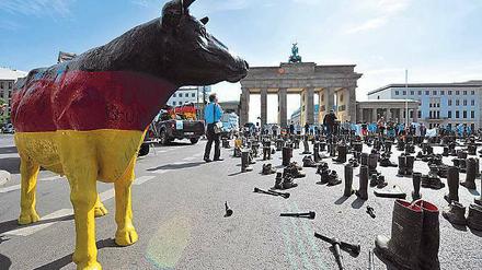Schwarz-Rot-Gold. Diese Rasse dient vor allem zu Demonstrationszwecken, hier bei einem Protest der Bauern. 