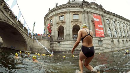 Absprung. Im vergangenen Jahr fand der "Berliner Flussbad Pokal" zum ersten mal statt am Bode-Museum.