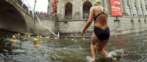 Absprung. Im vergangenen Jahr fand der "Berliner Flussbad Pokal" zum ersten mal statt am Bode-Museum.