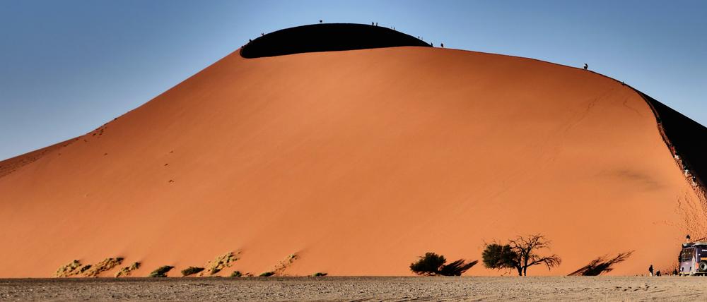 Läusebefall? Nein, nur Menschen bewandern die berühmte Düne 45 im Sossusvlei.