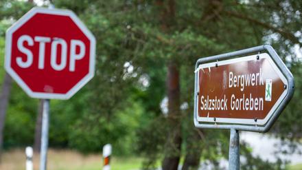 "Bergwerk Salzstock Gorleben". Es blieb der Spaltpilz bis in die letzte Sitzung der Endlagerkommission hinein. 