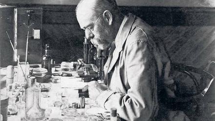 Robert Koch bei der Arbeit