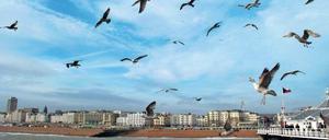 Blauer Himmel, graues Meer. Brighton ist das beliebteste englische Seebad. 