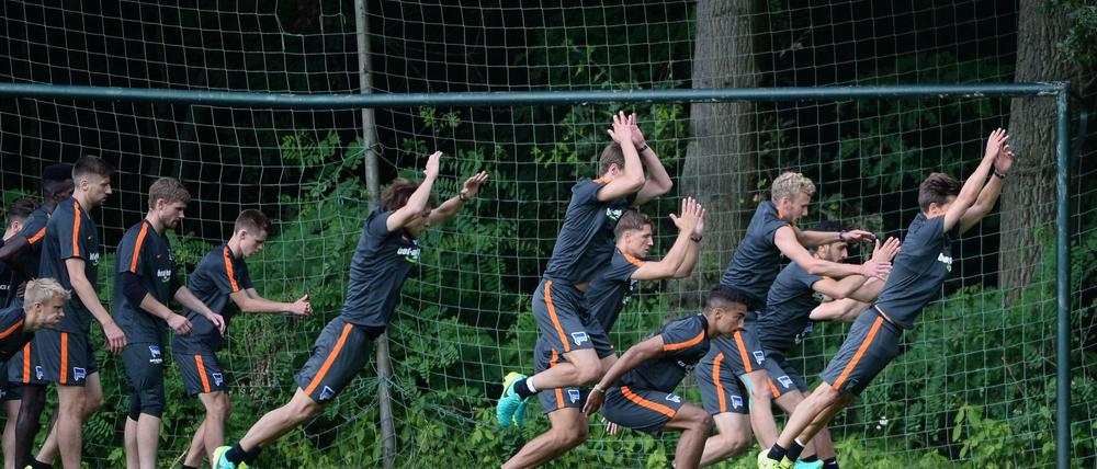 Schön ranklotzen, Jungs. Im Trainingslager in Bad Saarow hüpfen sich Lustenberger, Allagui und Co. in Form