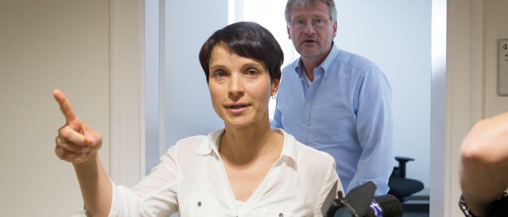 AfD-Chefin Frauke Petry zusammen mit dem Co-Vorsitzenden Jörg Meuthen am Mittwoch im Stuttgarter Landtag