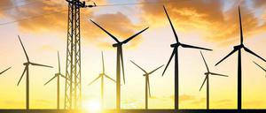 Ob die EEG-Novelle die Aussichten für erneuerbare Energien verschlechtert oder nicht, ist stark umstritten. 